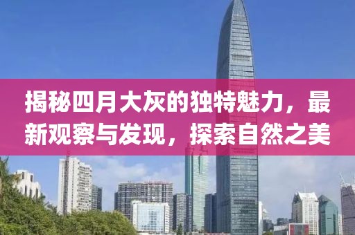 揭秘四月大灰的独特魅力，最新观察与发现，探索自然之美