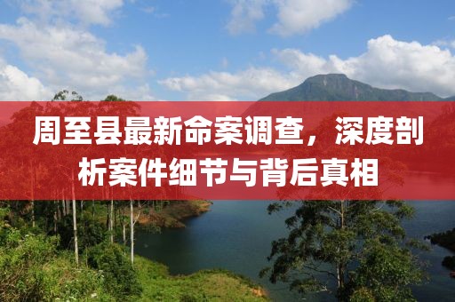 周至县最新命案调查，深度剖析案件细节与背后真相