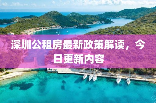 深圳公租房最新政策解读，今日更新内容