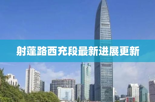 射蓬路西充段最新进展更新