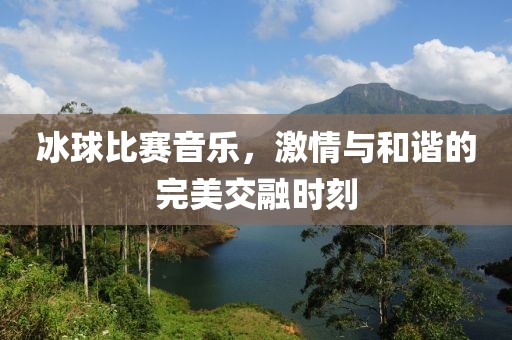 冰球比赛音乐，激情与和谐的完美交融时刻