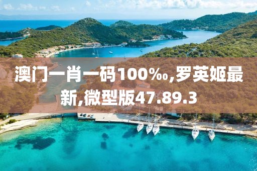 澳门一肖一码100‰,罗英姬最新,微型版47.89.3