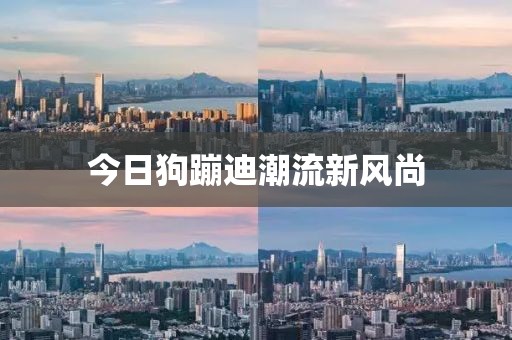 2025年4月5日 第9页