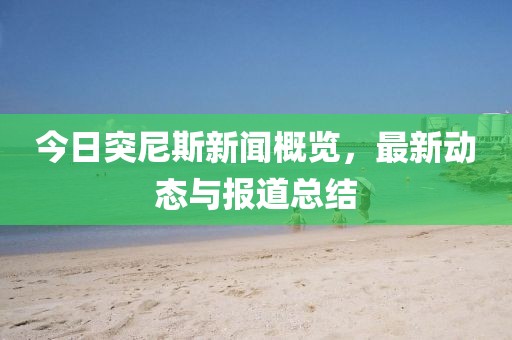 今日突尼斯新闻概览，最新动态与报道总结