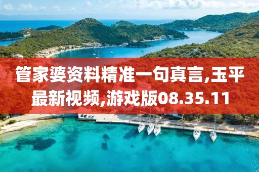 管家婆资料精准一句真言,玉平最新视频,游戏版08.35.11