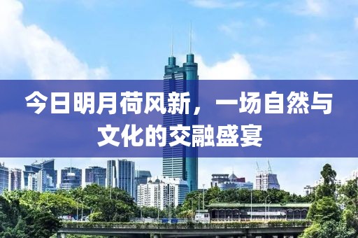 今日明月荷风新，一场自然与文化的交融盛宴