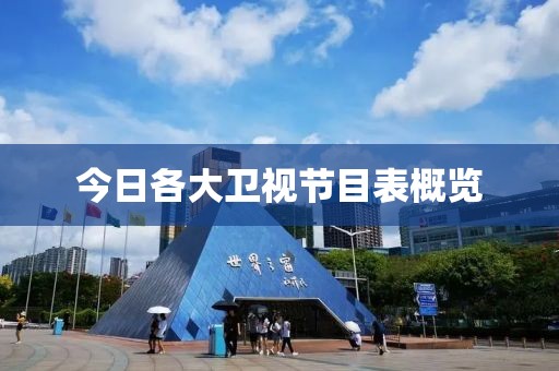今日各大卫视节目表概览