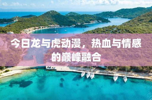 今日龙与虎动漫，热血与情感的巅峰融合