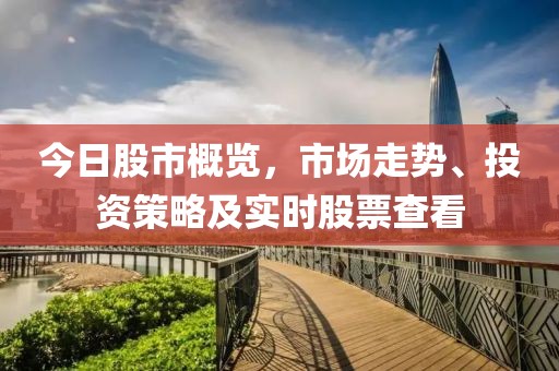 今日股市概览，市场走势、投资策略及实时股票查看