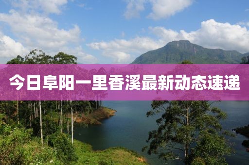 今日阜阳一里香溪最新动态速递