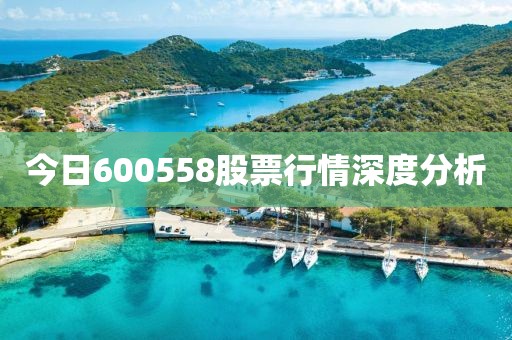 今日600558股票行情深度分析