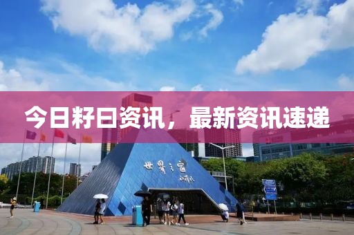 今日籽曰资讯，最新资讯速递