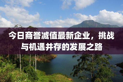 今日商誉减值最新企业，挑战与机遇并存的发展之路