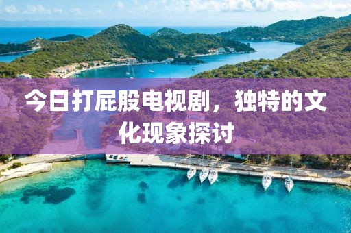今日打屁股电视剧，独特的文化现象探讨