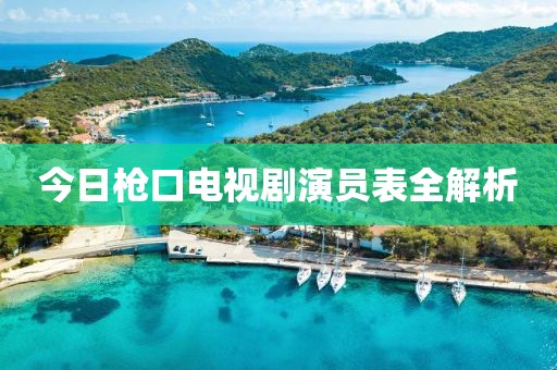 今日枪口电视剧演员表全解析
