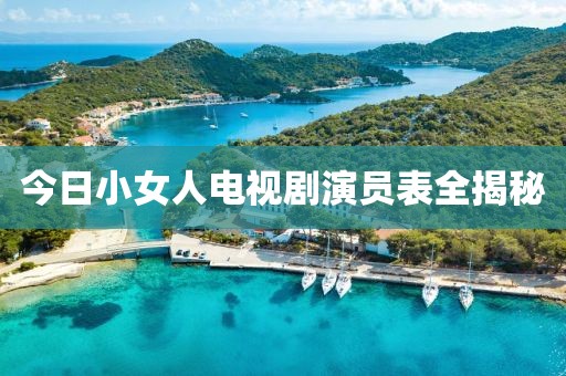 今日小女人电视剧演员表全揭秘