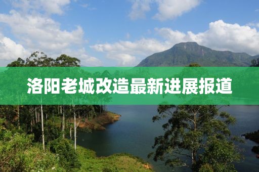 2025年4月6日 第3页