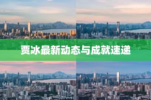 贾冰最新动态与成就速递