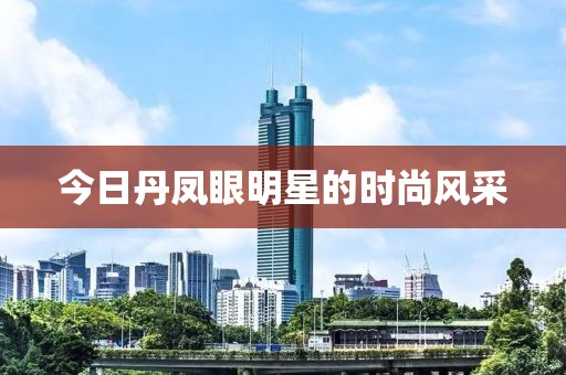 今日丹凤眼明星的时尚风采