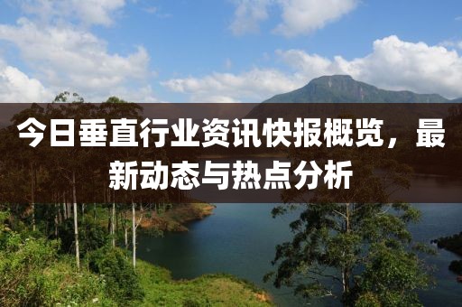 今日垂直行业资讯快报概览，最新动态与热点分析