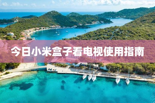 2025年4月7日 第5页