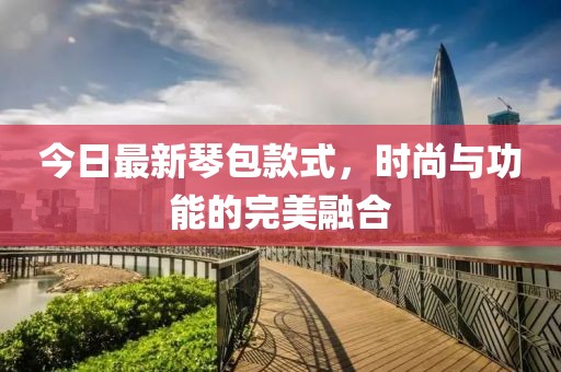 今日最新琴包款式，时尚与功能的完美融合