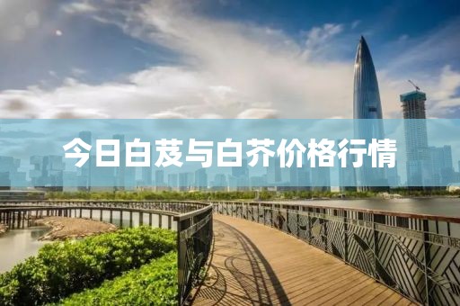 今日白芨与白芥价格行情