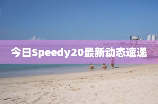 今日Speedy20最新动态速递