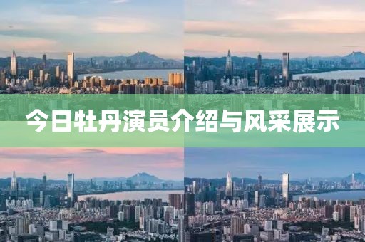 今日牡丹演员介绍与风采展示