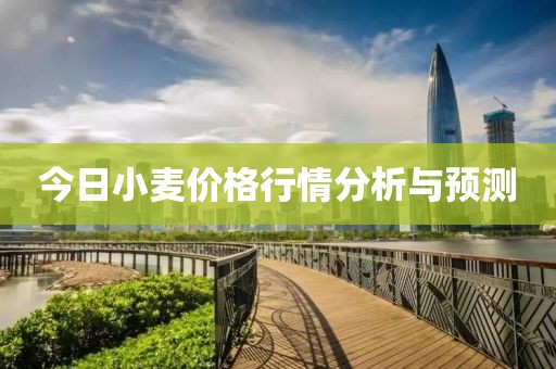 今日小麦价格行情分析与预测
