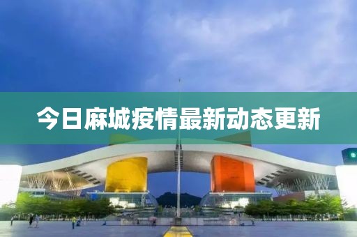 今日麻城疫情最新动态更新