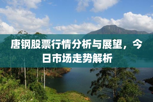 唐钢股票行情分析与展望，今日市场走势解析