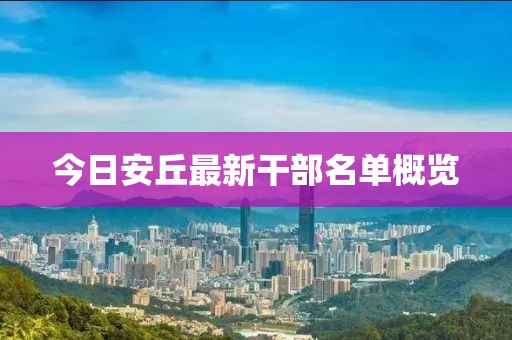 今日安丘最新干部名单概览