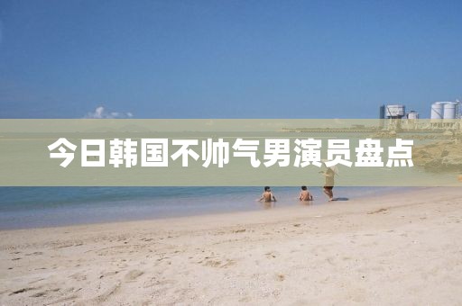 今日韩国不帅气男演员盘点