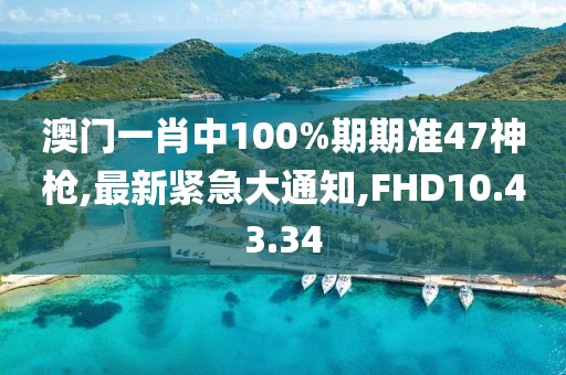 澳门一肖中100%期期准47神枪,最新紧急大通知,FHD10.43.34