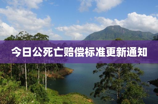 今日公死亡赔偿标准更新通知