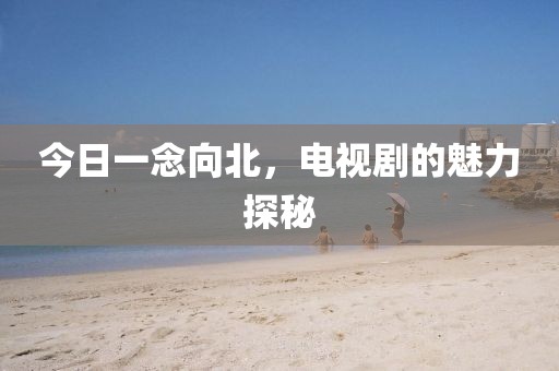 今日一念向北，电视剧的魅力探秘