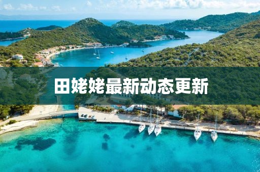 田姥姥最新动态更新