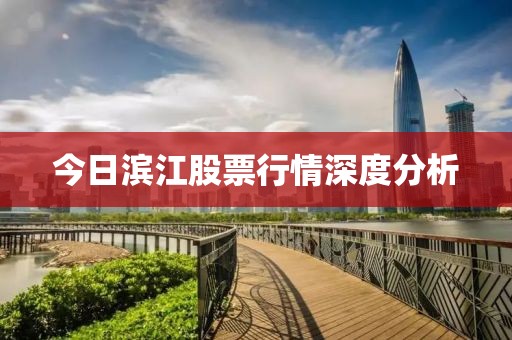 今日滨江股票行情深度分析