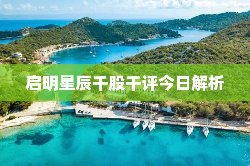 启明星辰千股千评今日解析