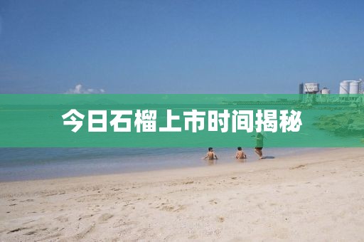 今日石榴上市时间揭秘