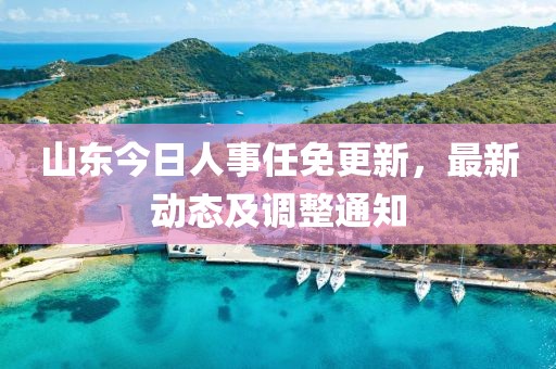 山东今日人事任免更新，最新动态及调整通知