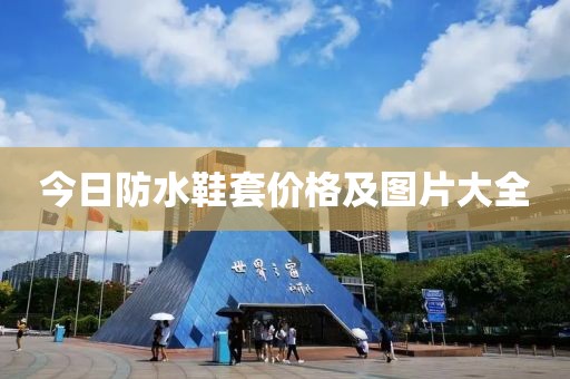 今日防水鞋套价格及图片大全