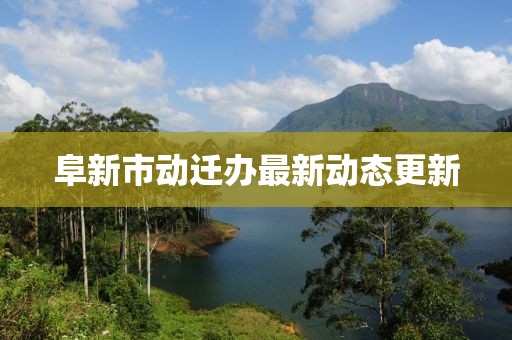 阜新市动迁办最新动态更新