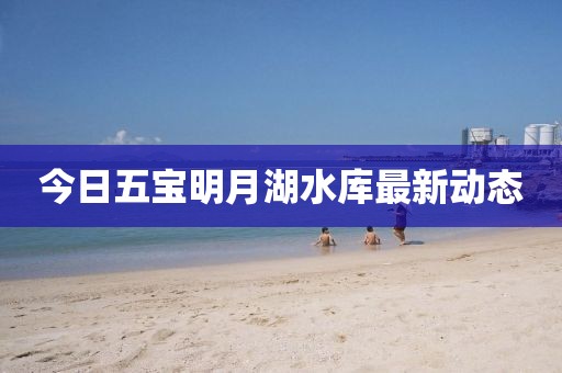 今日五宝明月湖水库最新动态