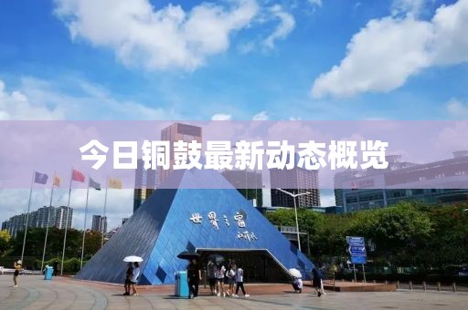 今日铜鼓最新动态概览