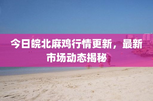 今日皖北麻鸡行情更新，最新市场动态揭秘
