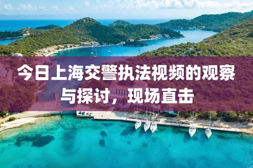 今日上海交警执法视频的观察与探讨，现场直击