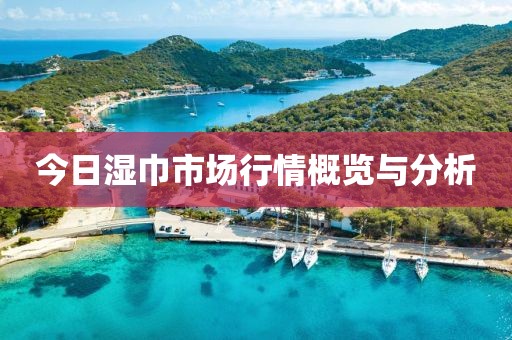 今日湿巾市场行情概览与分析
