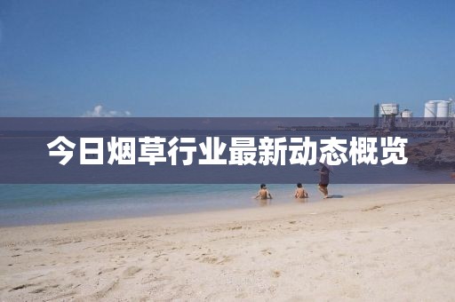 今日烟草行业最新动态概览